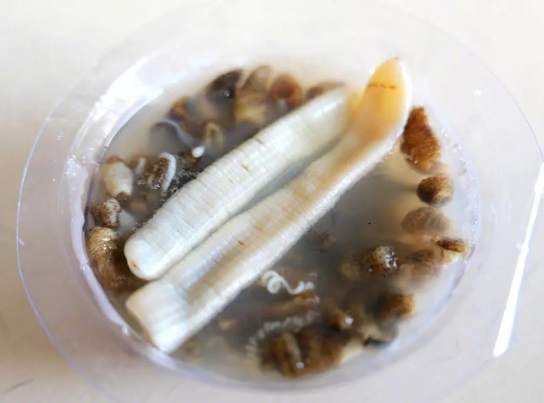 到福建必吃的特色菜有哪些,值得跨省去吃的美食