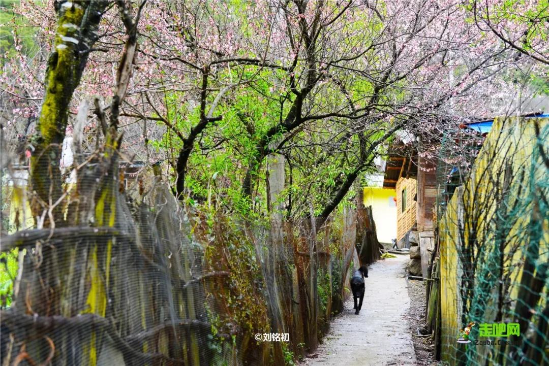 云南十大公路自驾游,云南自驾5条最佳线路图