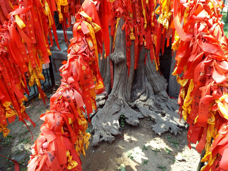 关老爷死而复生,关老爷死而复生哪一集