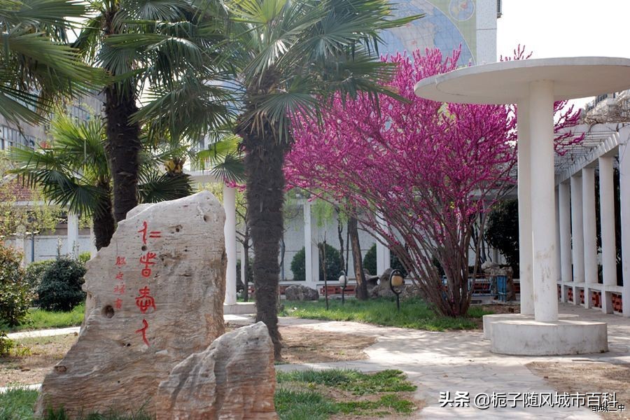 济宁市城区有几个公立高中,济宁市兖州区实验高中分数线