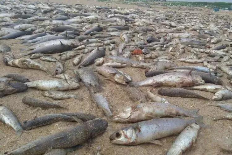 地球5年后的大灾难,地球病了会好起来吗