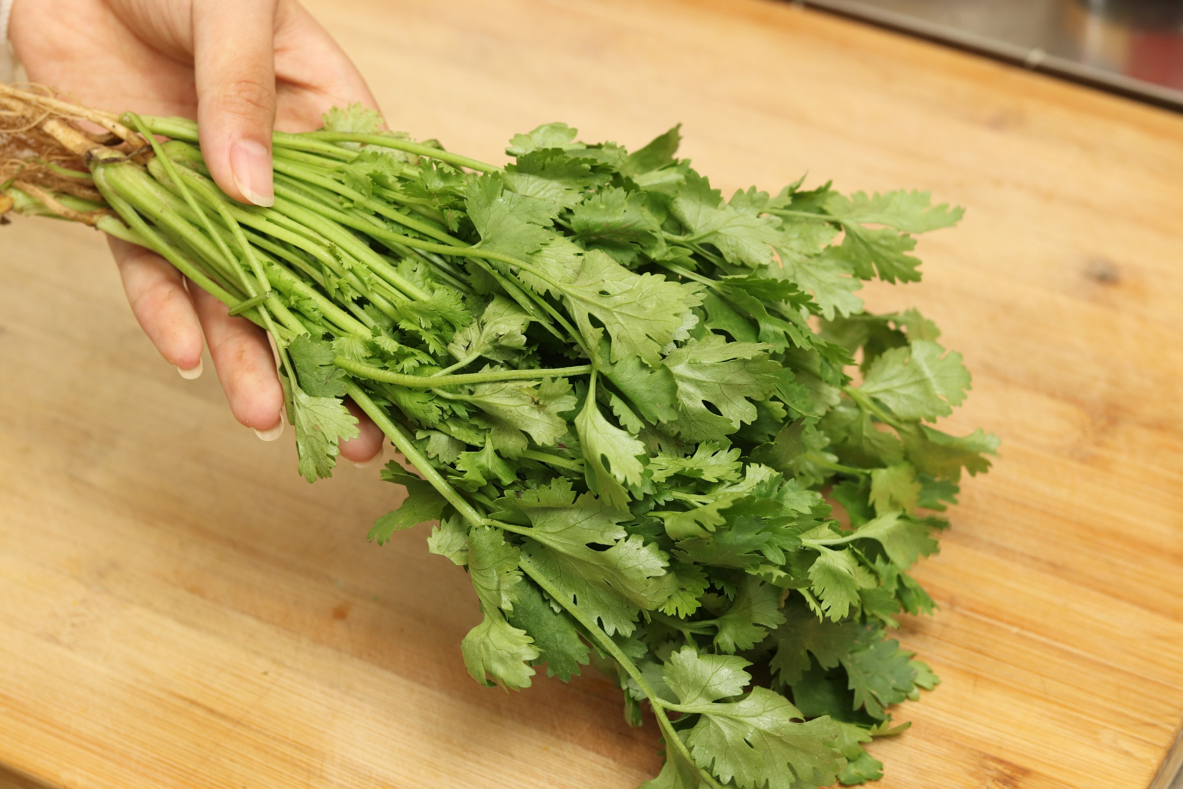 吃不完的香菜怎么保存,吃不完的香菜怎样再栽培