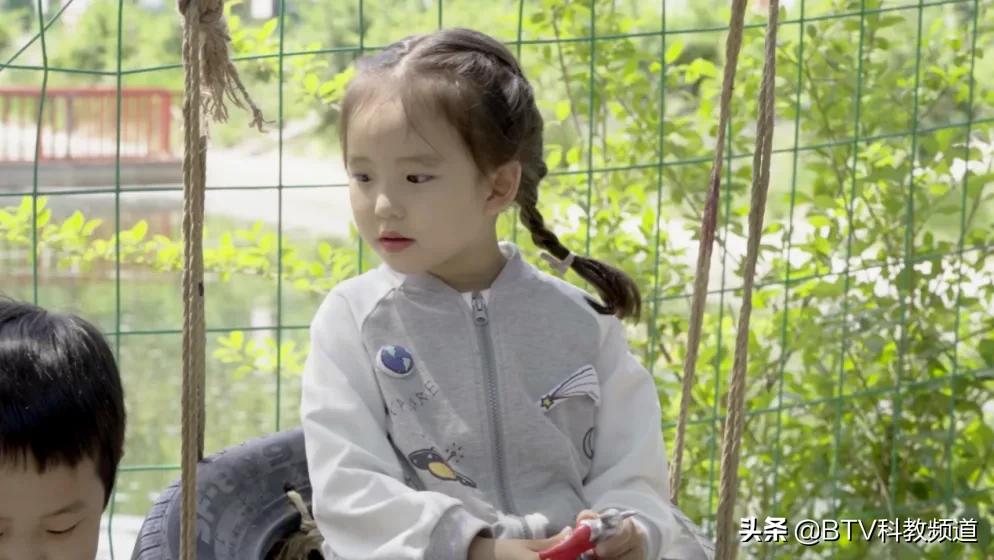 一个神奇的葫芦,奇趣大葫芦