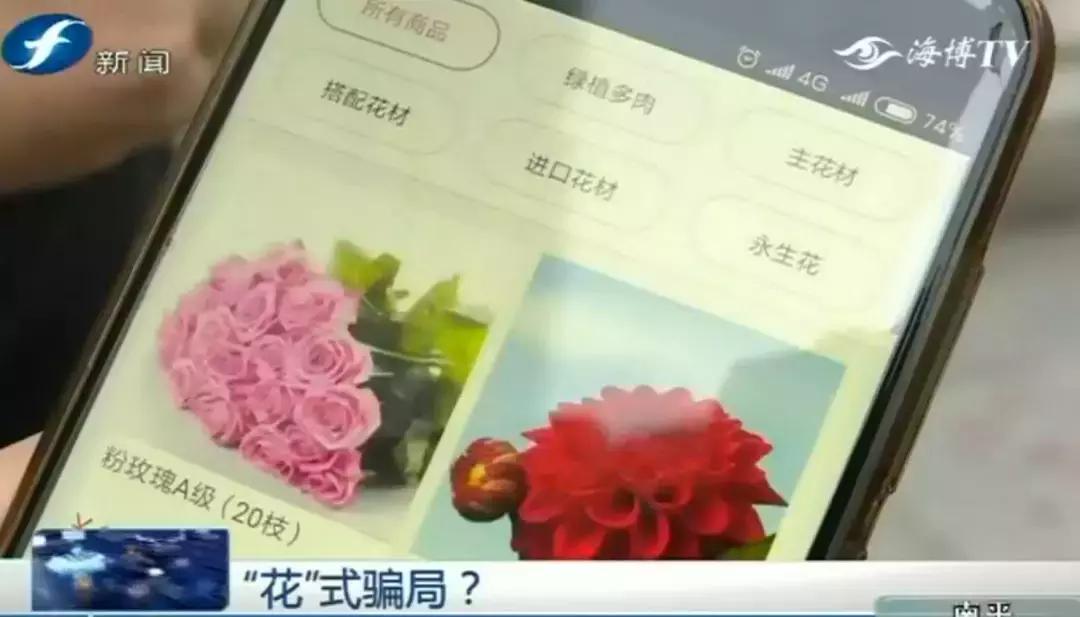 就是这些花……泉州有人为它花了几百万！