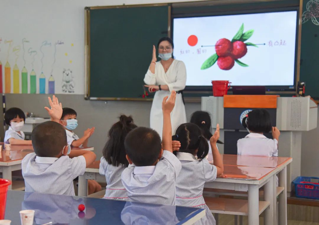 北师大福清附校幼小衔接小学,北师大版幼小衔接学数学