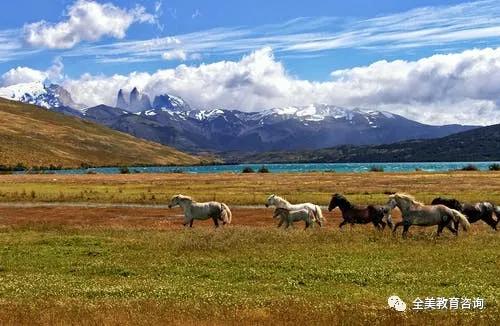菲律宾和马来西亚哪个适合移民,移民马来西亚的优势