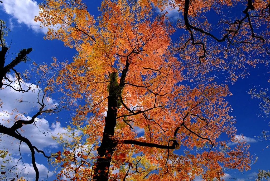 文成悦慢特色民宿,文成百丈漈水云见民宿