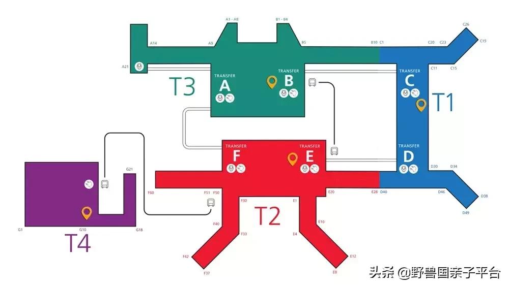 带孩子新加坡4天够玩吗,新加坡带孩子自由行几天