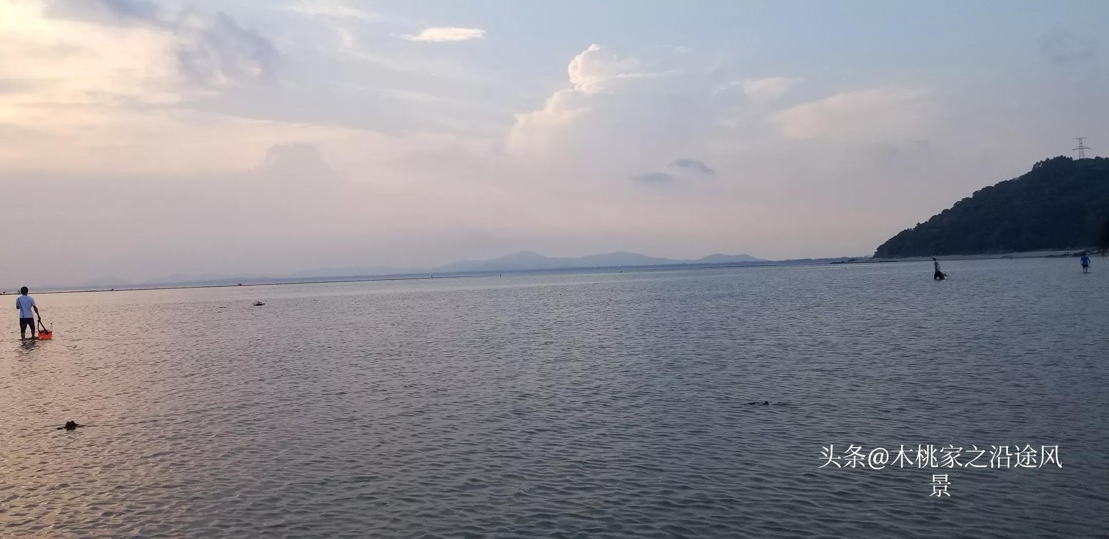 广东沙滩赶海去哪里,阳江东平镇沙滩赶海攻略