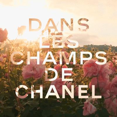 我只穿香奈儿五号入睡