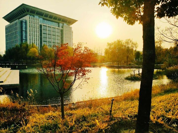 河南财经高校,河南财经政法大学11系