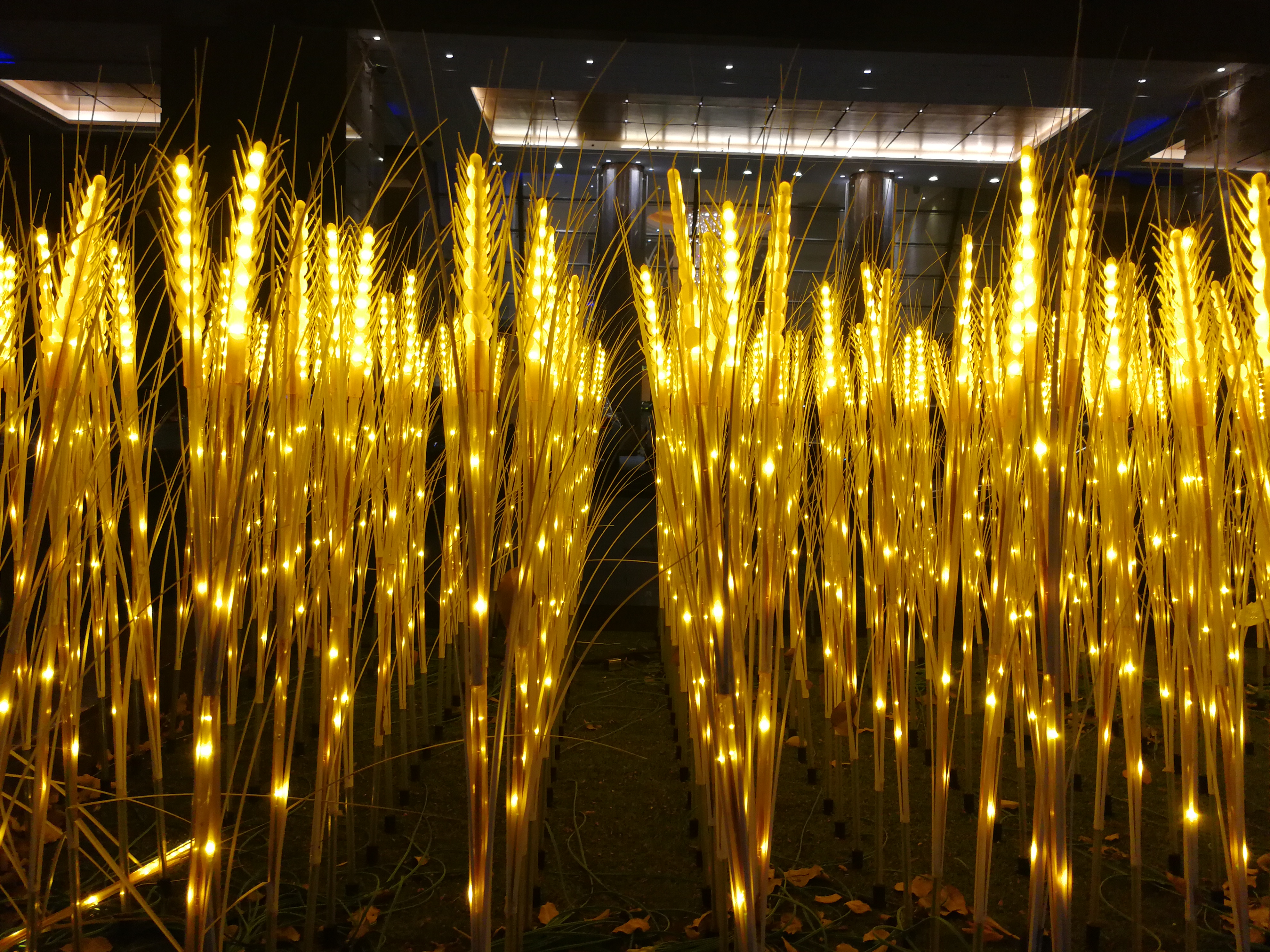 交房租属于日常消费吗 (消费低迷期商户营业额可以交租吗)