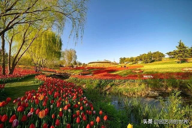 值得参观的国内优秀花园之品鉴（上篇）