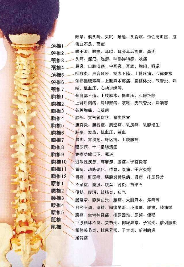 经络学说视频教程,经络学说的学习简单方法