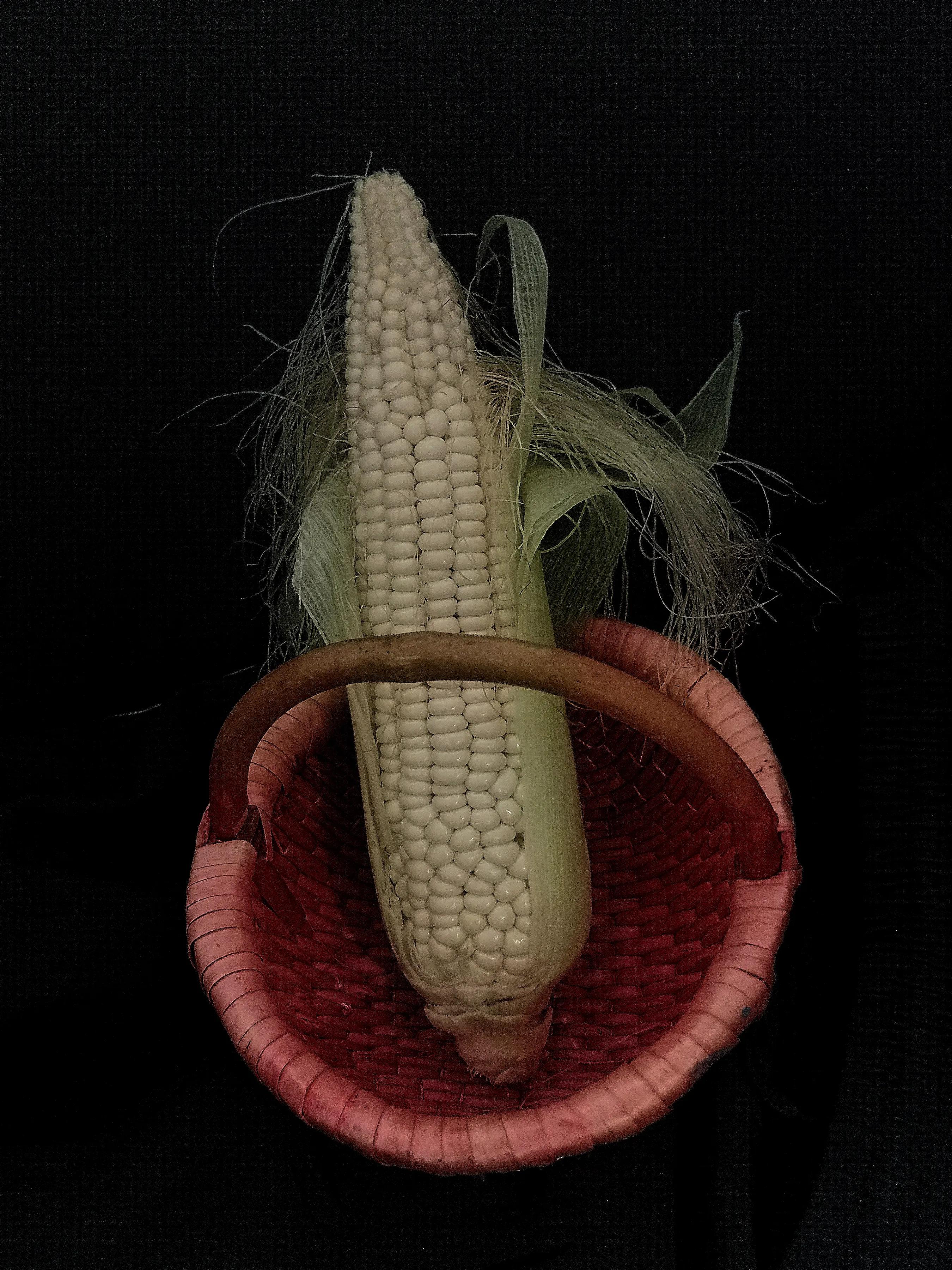 手机摄影手册圈友作品选第5期,手拍世界摄影交流平台