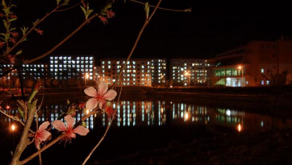 滴滴滴~快上车，开往“咸职”号的列车马上就要出发了