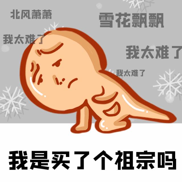 变形金刚山寨版评测,山寨变形金刚铁皮