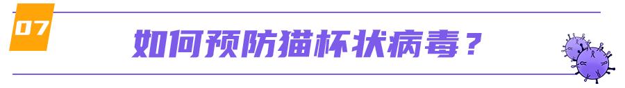 猫咪舌头有溃疡，怎么办？