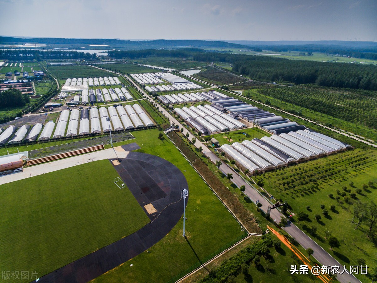 未来养殖业的商机和发展趋势,未来5年畜牧养殖业发展的10大机会