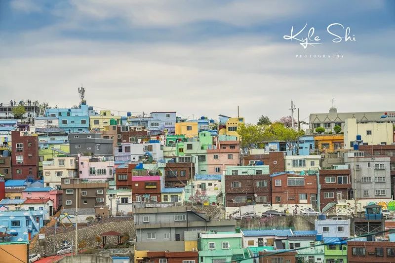 樱花季去日本价格高吗,樱花季去日本旅行