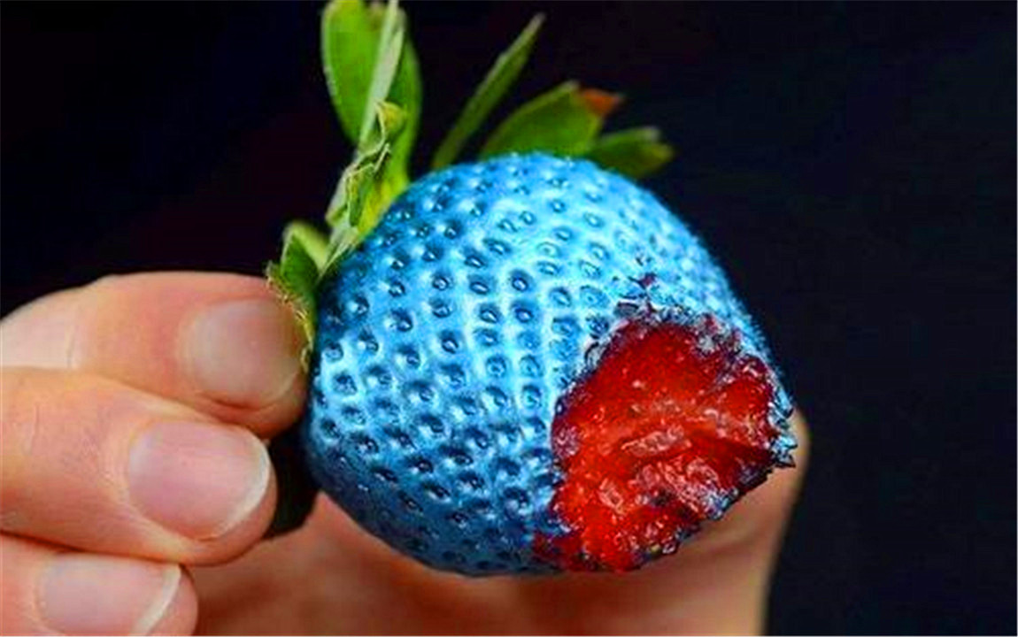 色盲眼中的世界是不是真正的颜色,色盲眼里的世界是什么样子的