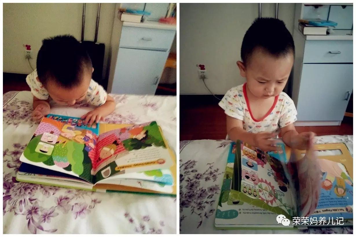 5-6岁儿童适合读什么绘本,5-6岁孩子读得最好的绘本