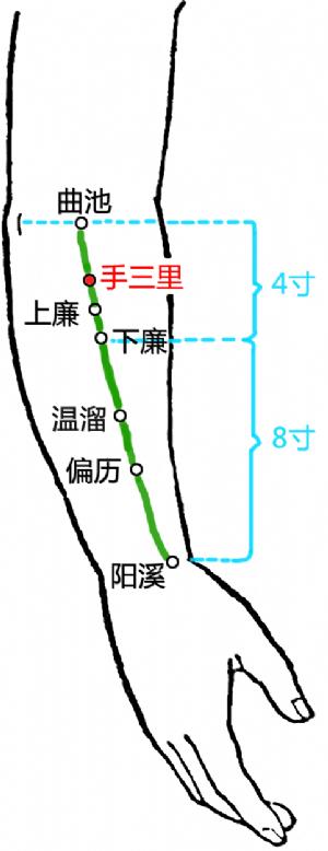 腰夹脊,腰夹脊疼痛位置图片