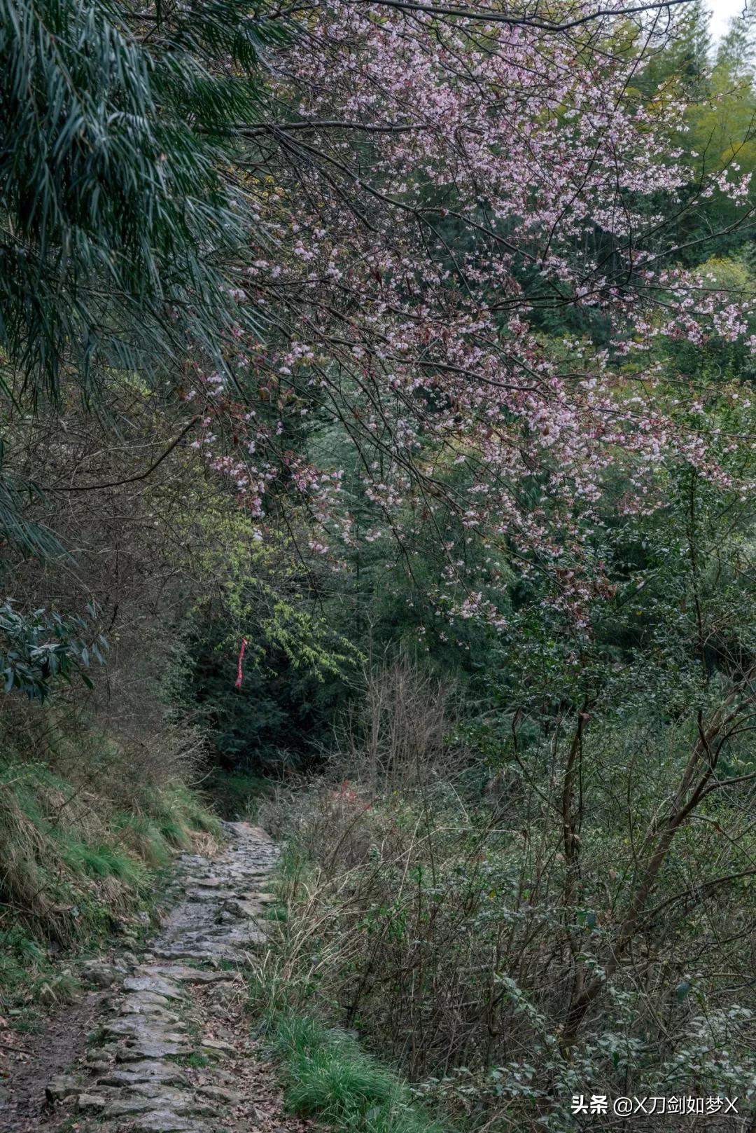 沪外游集：“华东香格里拉”-公盂村春季徒步