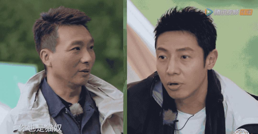 没想到,央视的名嘴们全都是猫奴