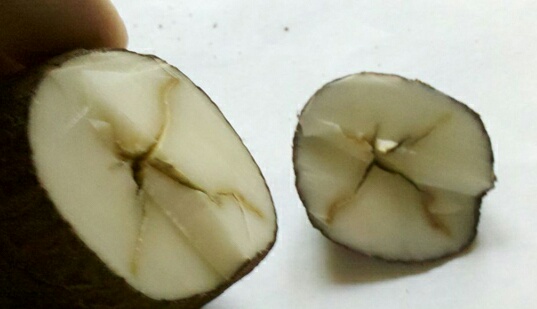 自学木艺雕刻工具,自学木雕工具