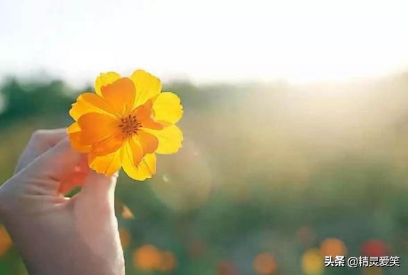 怎么屏蔽微信好友的朋友圈,当你发现你朋友的朋友圈屏蔽了你