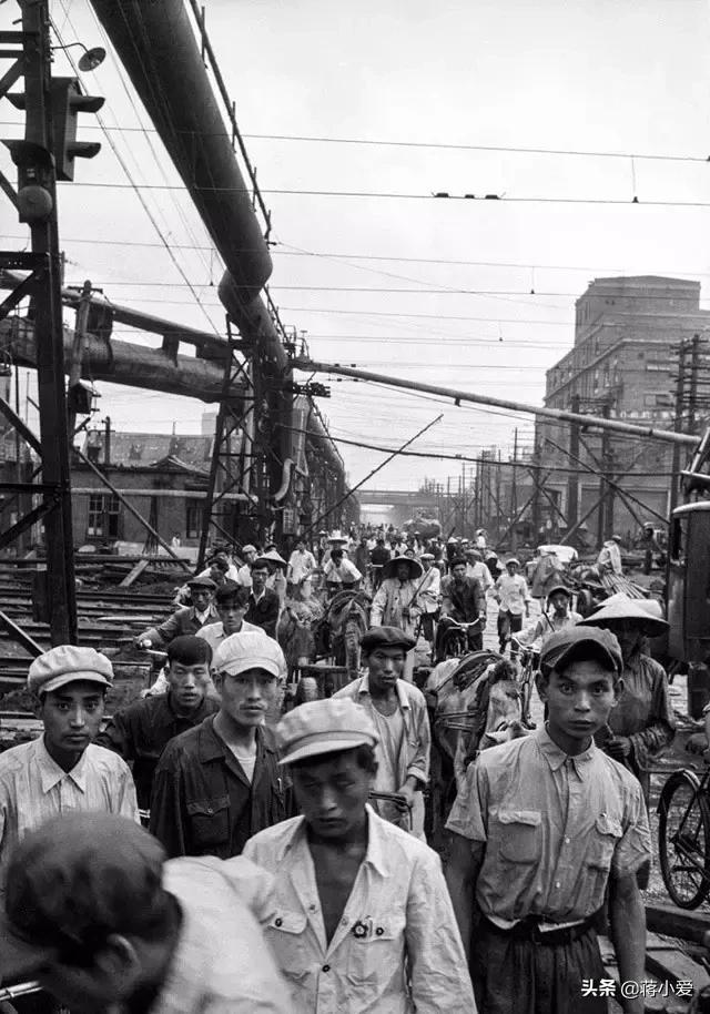 60年代新西兰,六十年代新西兰