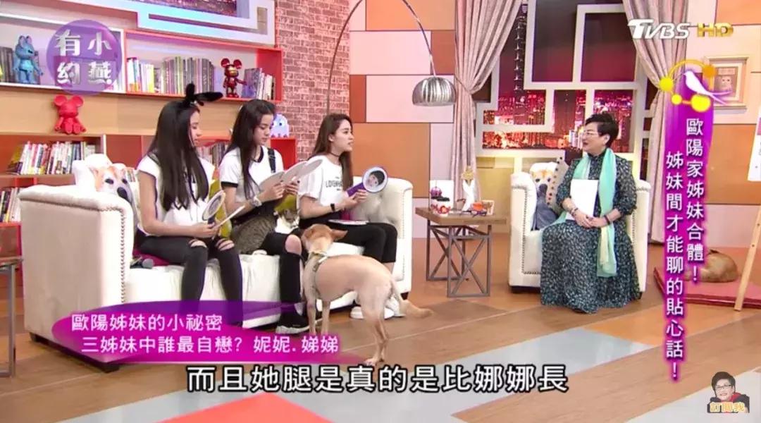 欧阳娜娜三姐妹颜值相差,欧阳娜娜三姐妹年龄从大到小