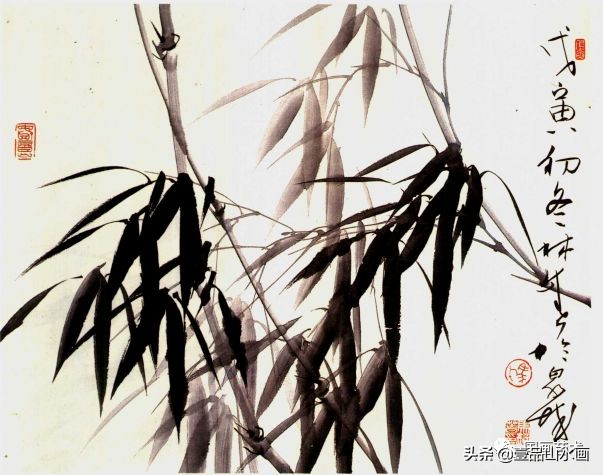 图文教程竹子画法,怎么画竹最简单最好看