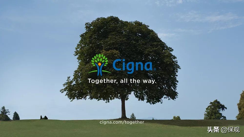 全球九家大到不能倒的保险公司,全球人寿保险公司排名前十名