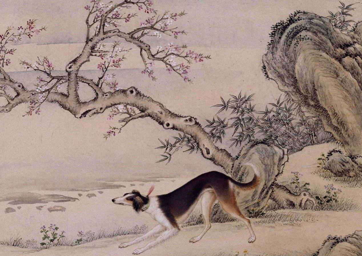 皇家十骏犬图片大全,十骏犬图欣赏