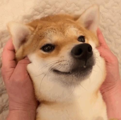 免费app是怎么盈利的,免费视频网站靠什么盈利