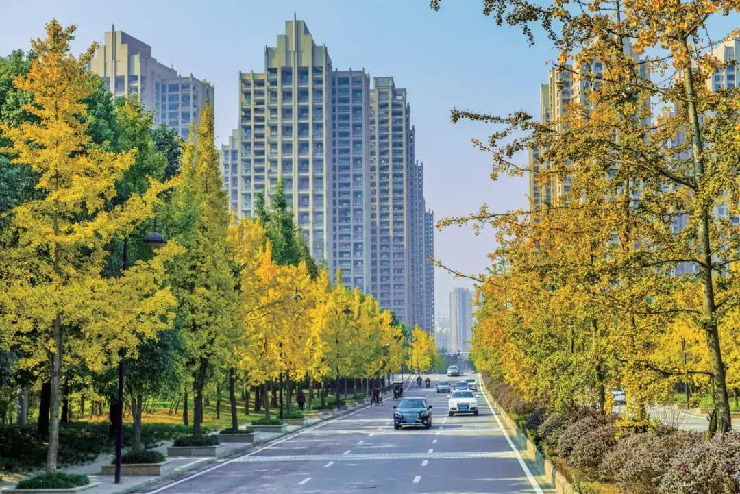 40年的大变化,四十年巨变陇原