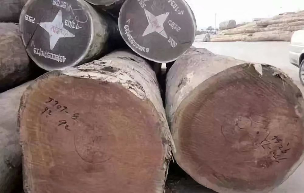 海南黄花梨和小叶紫檀金丝楠木,缅甸花梨和海南黄花梨的图片对比