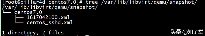 知了堂怎么样,虚拟机快照操作方法