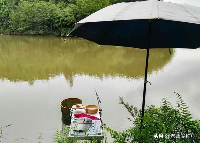 钓鱼秘诀分享给钓友们,总结一下这些年来的钓鱼心得