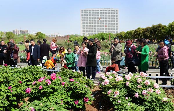 看十年前跟十年后的样子,看十年前的照片视频