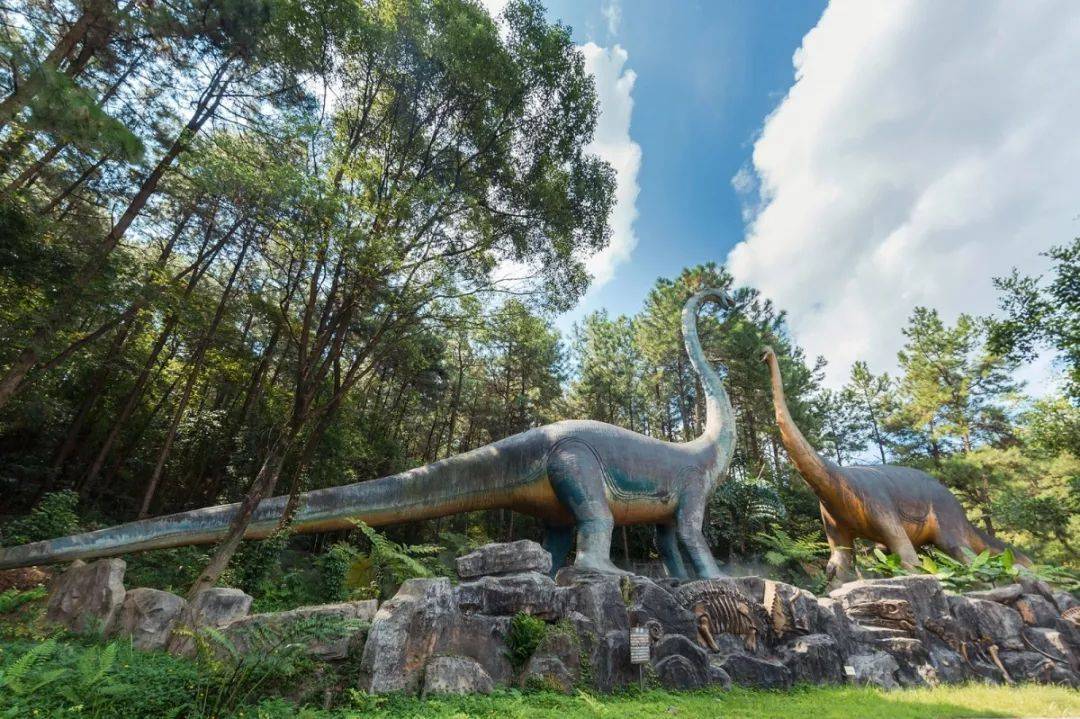 倒数狂欢夜,清远森波拉奇妙世界主题乐园住宿