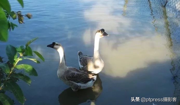 客叔辣评｜摆脱随手拍，你还有多远？