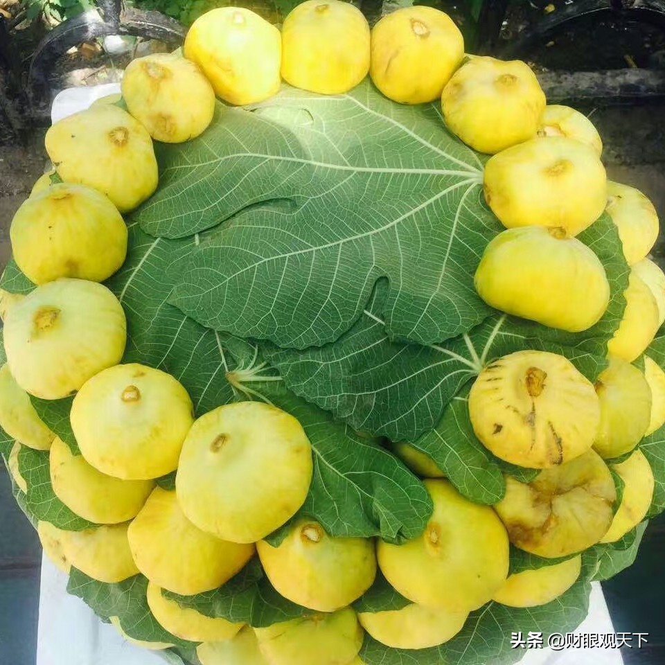 不能错过当地水果,不能错过美味的水果