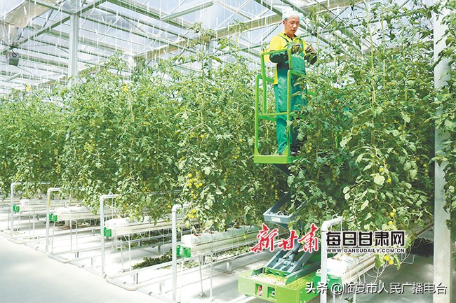 兰州新区生态屏障,兰州新区打造生态修复样板工程