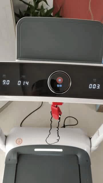 在家也能好好健身,宅在家也能健身