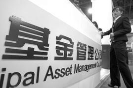 基金和股票的区别买基金能赚钱吗,混合基金和股票基金哪个更值得买