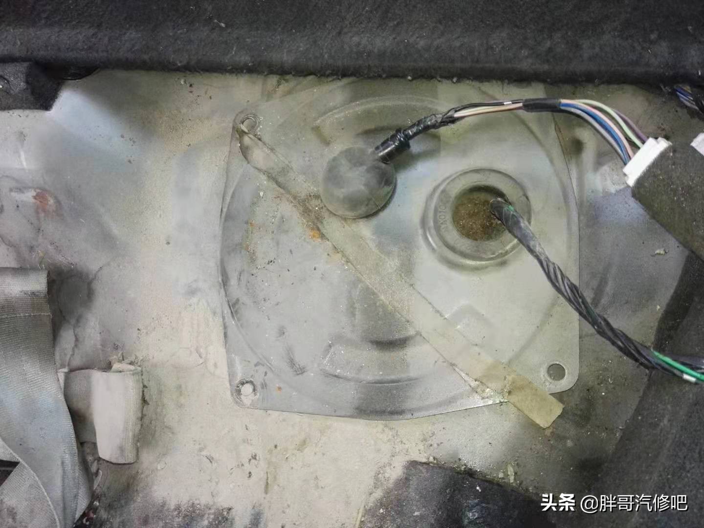 19年蓝鸟难启动很抖,2004年老蓝鸟