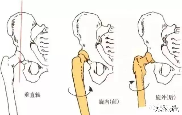 石原里美萝卜腿,石原里美新垣结衣瘦腿